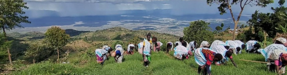 Winsanto Seeds Products