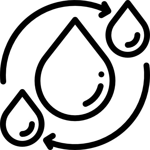 Water-efficient high-yield crop seeds